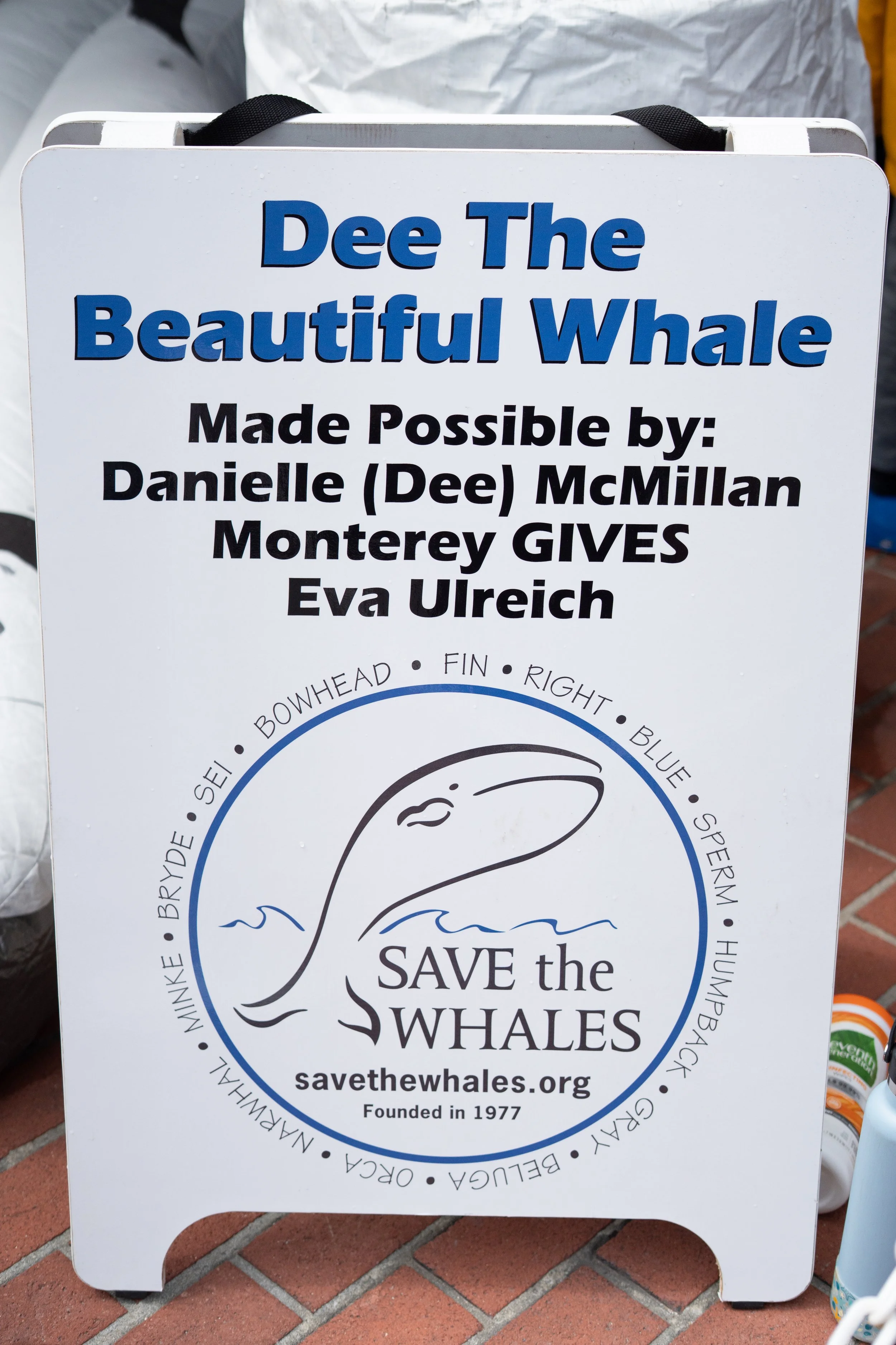 Whale Fest 2026-46.jpg