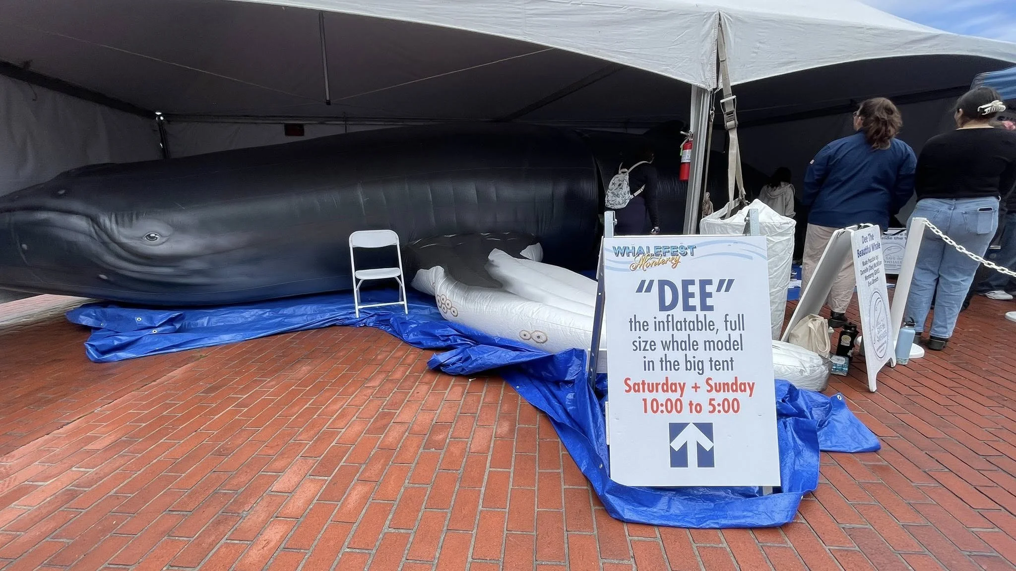 Dee, Save The Whales, by Nellie Asaro 4.11 (1).jpg