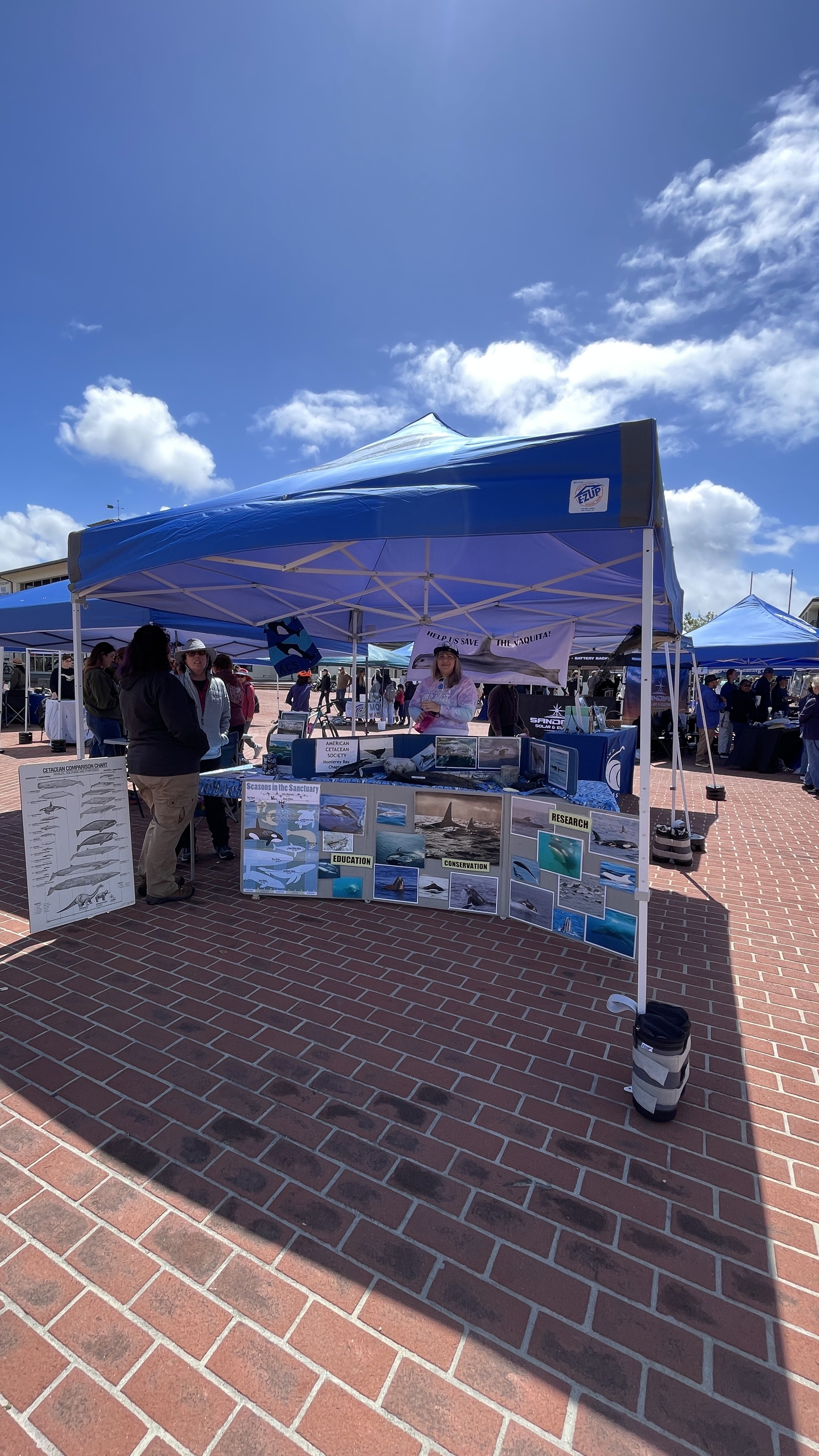 American Cetacean Society (1).JPEG