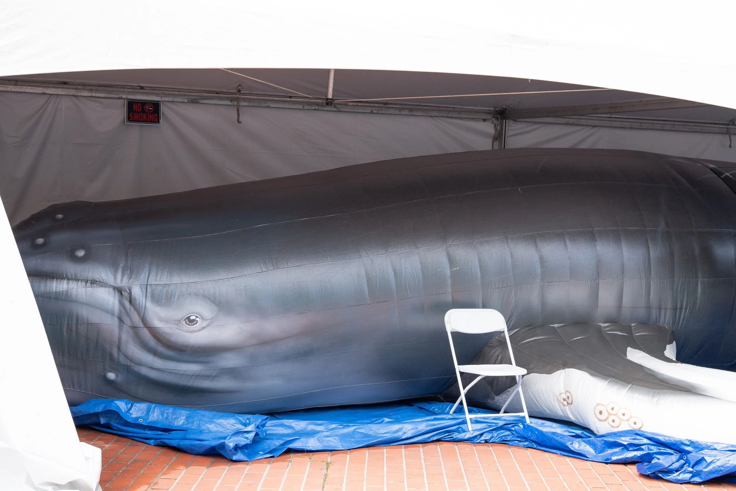 Whale Fest 2026-44.jpg