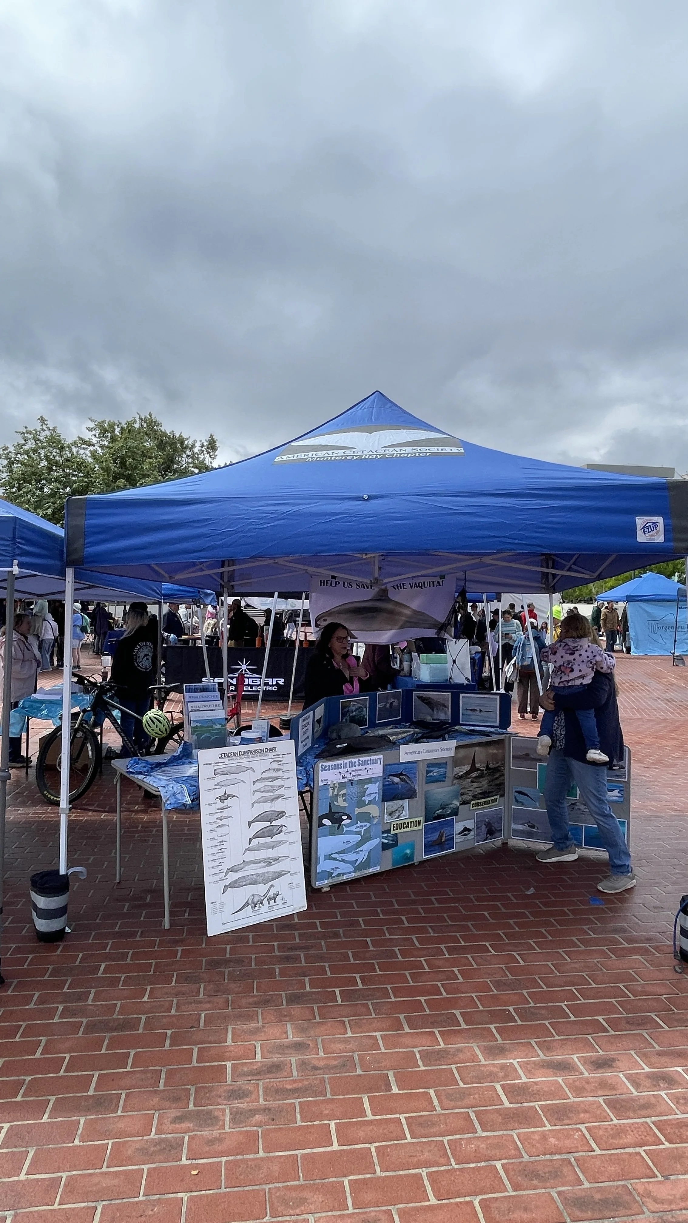 American Cetacean Society (5).JPEG