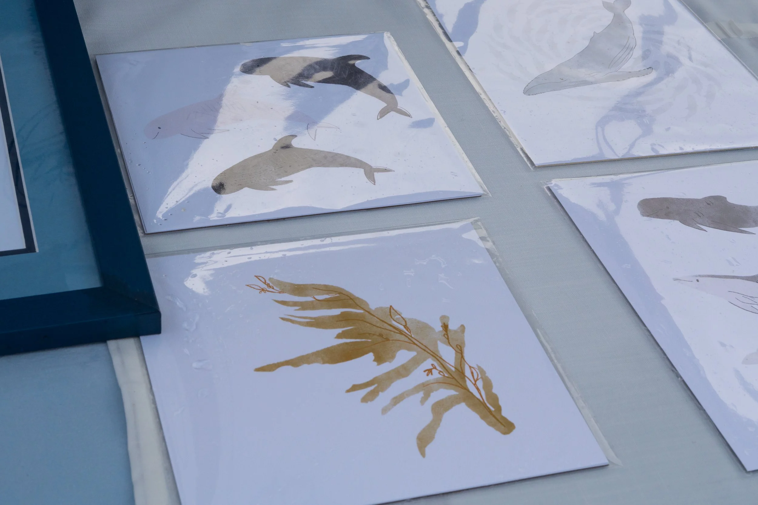 Whale Fest 2026-13.jpg