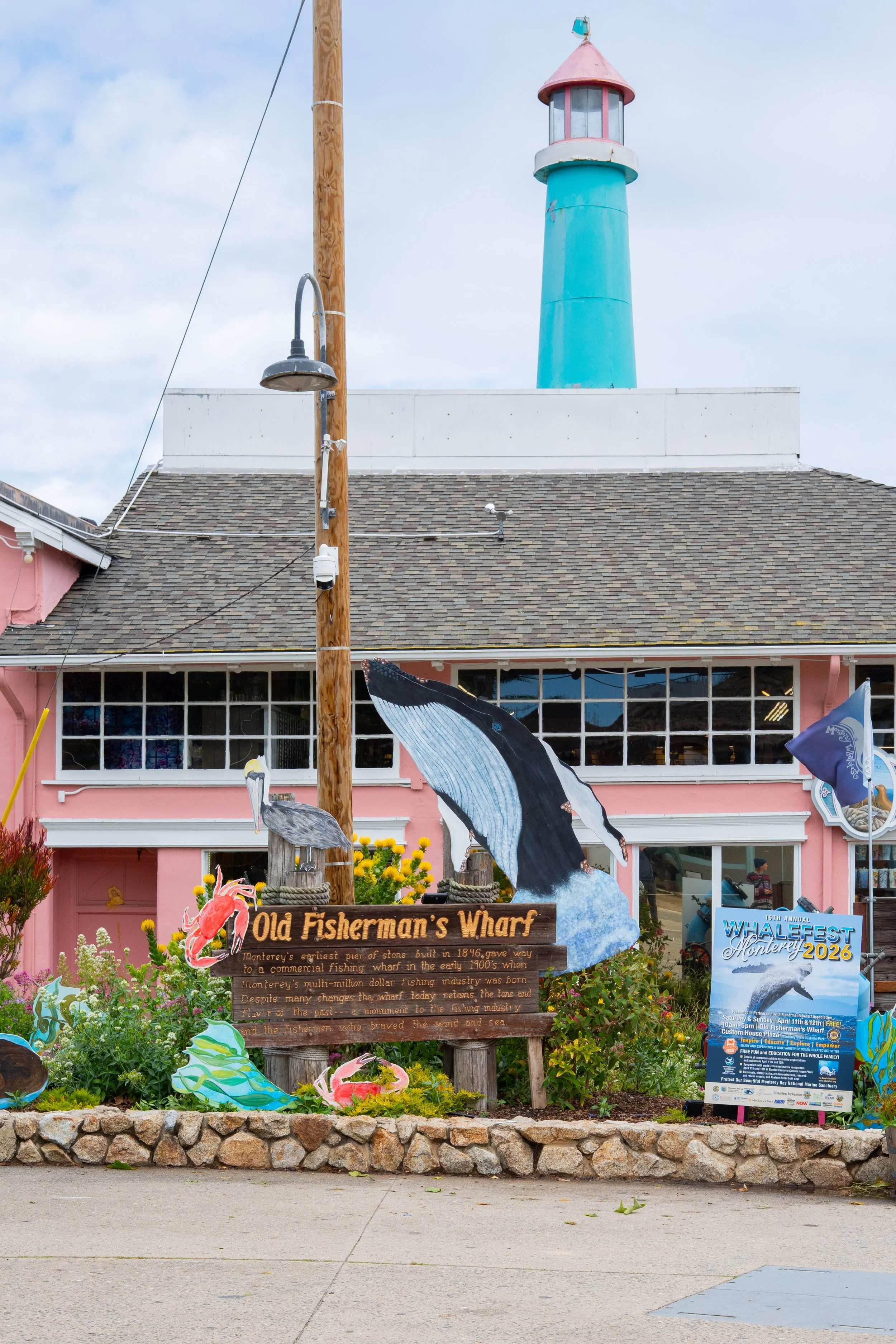 Whale Fest 2026-24.jpg