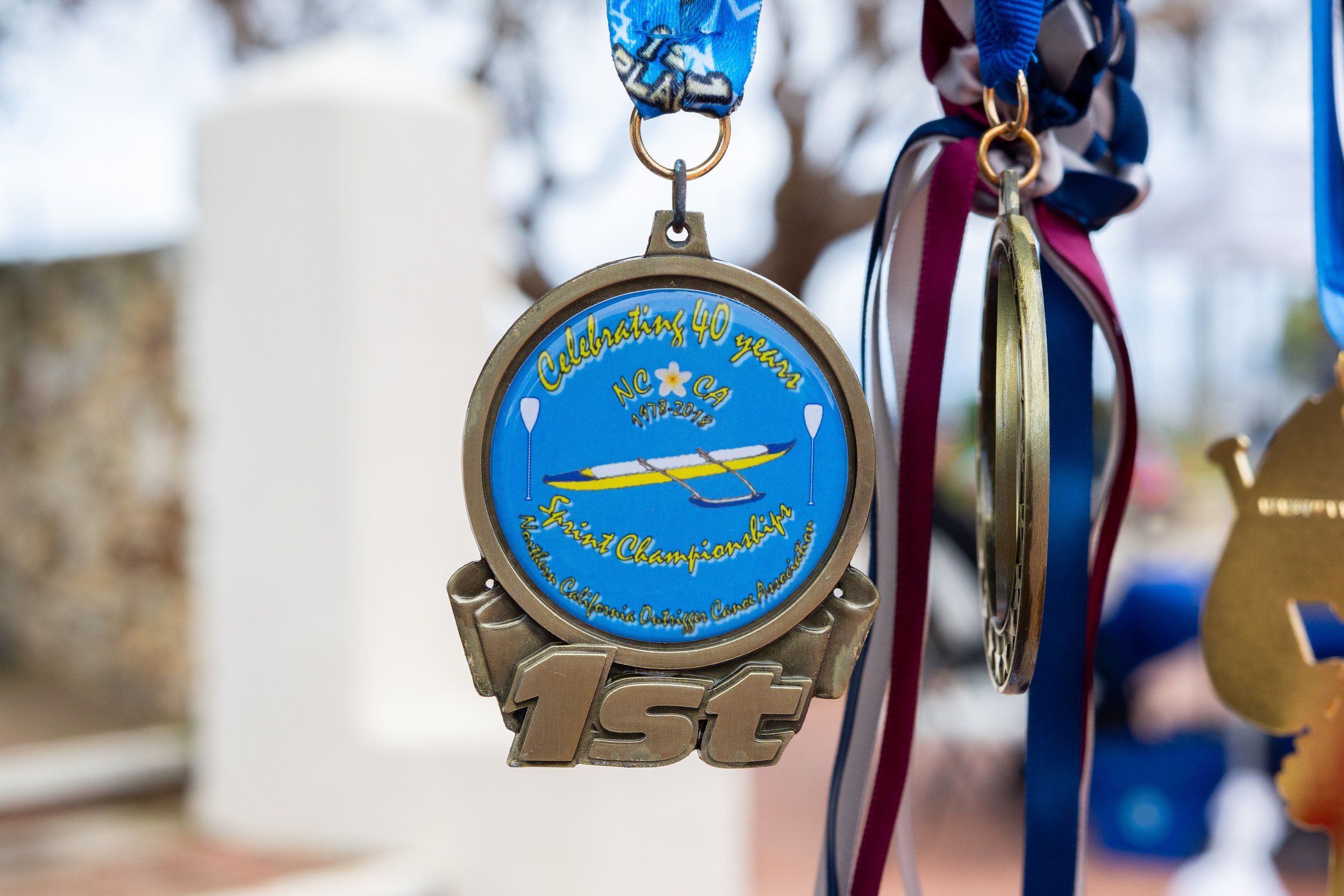 Whale Fest 2026-23.jpg