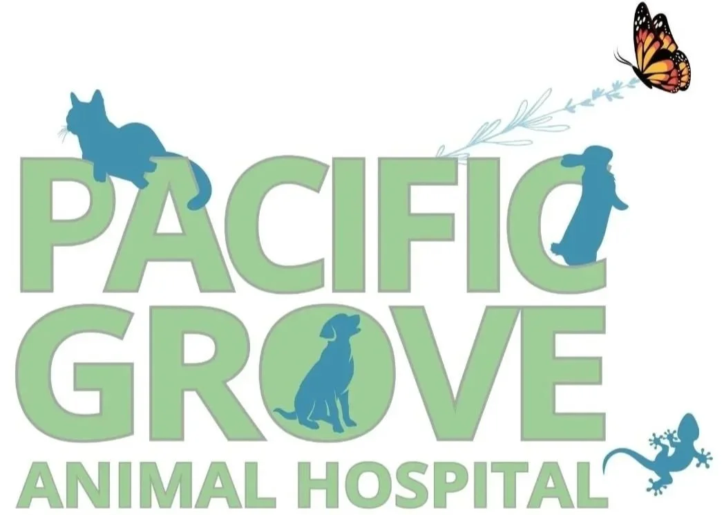 Logo for Pacific Grove Animal Hospital