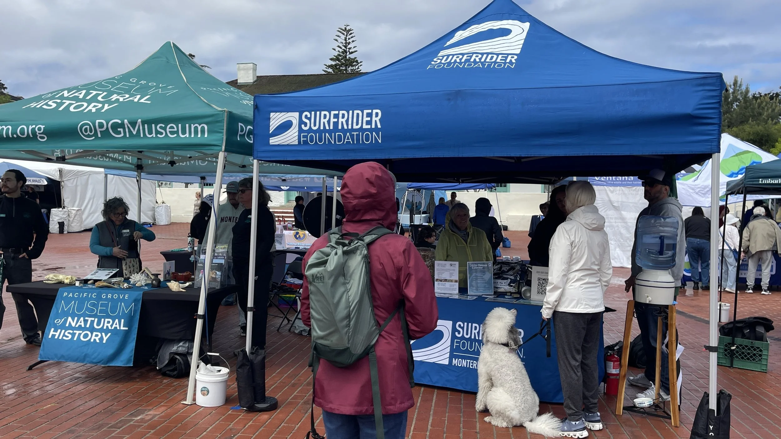 Surfrider Monterey (3).JPEG