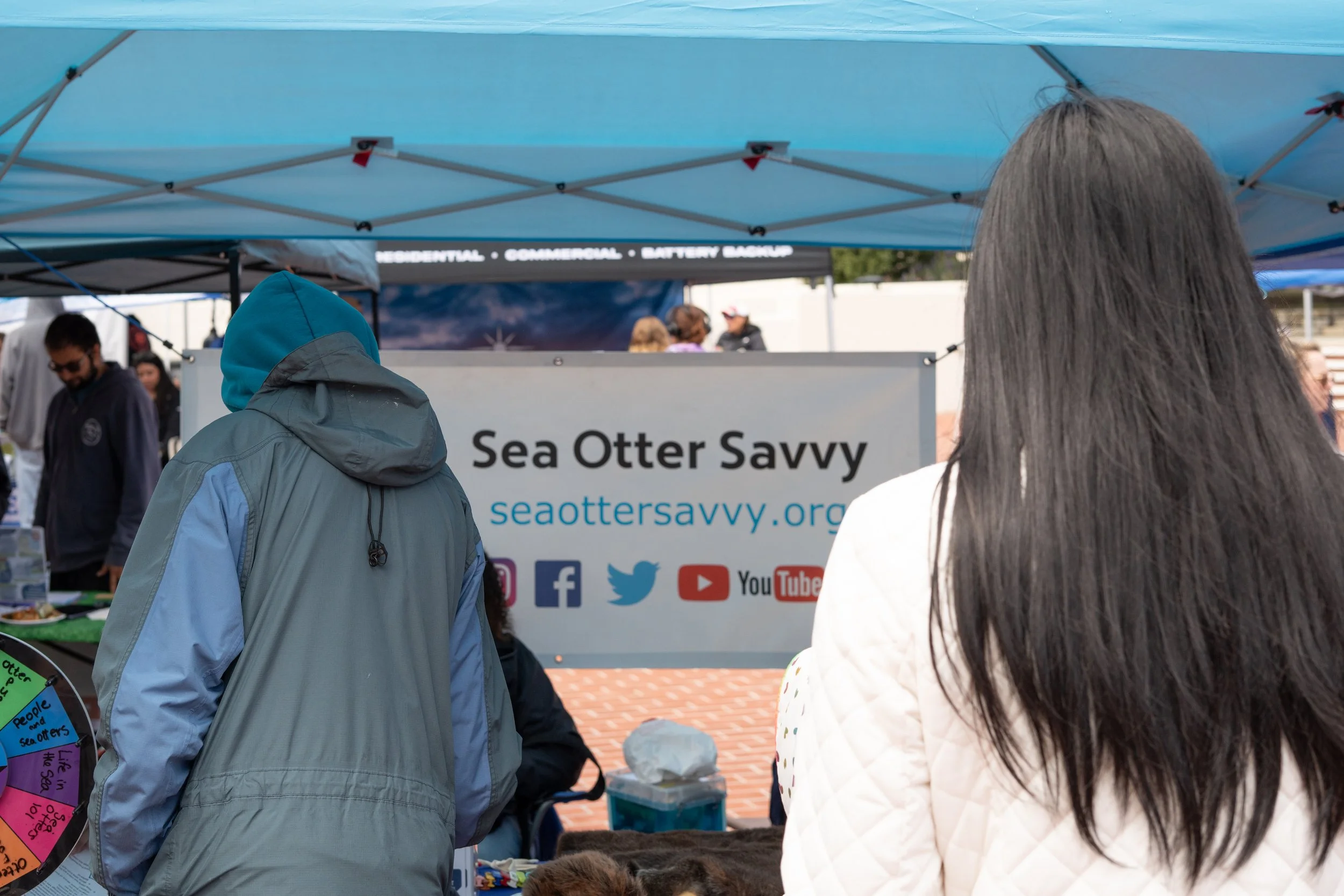 Whale Fest 2026-26.jpg