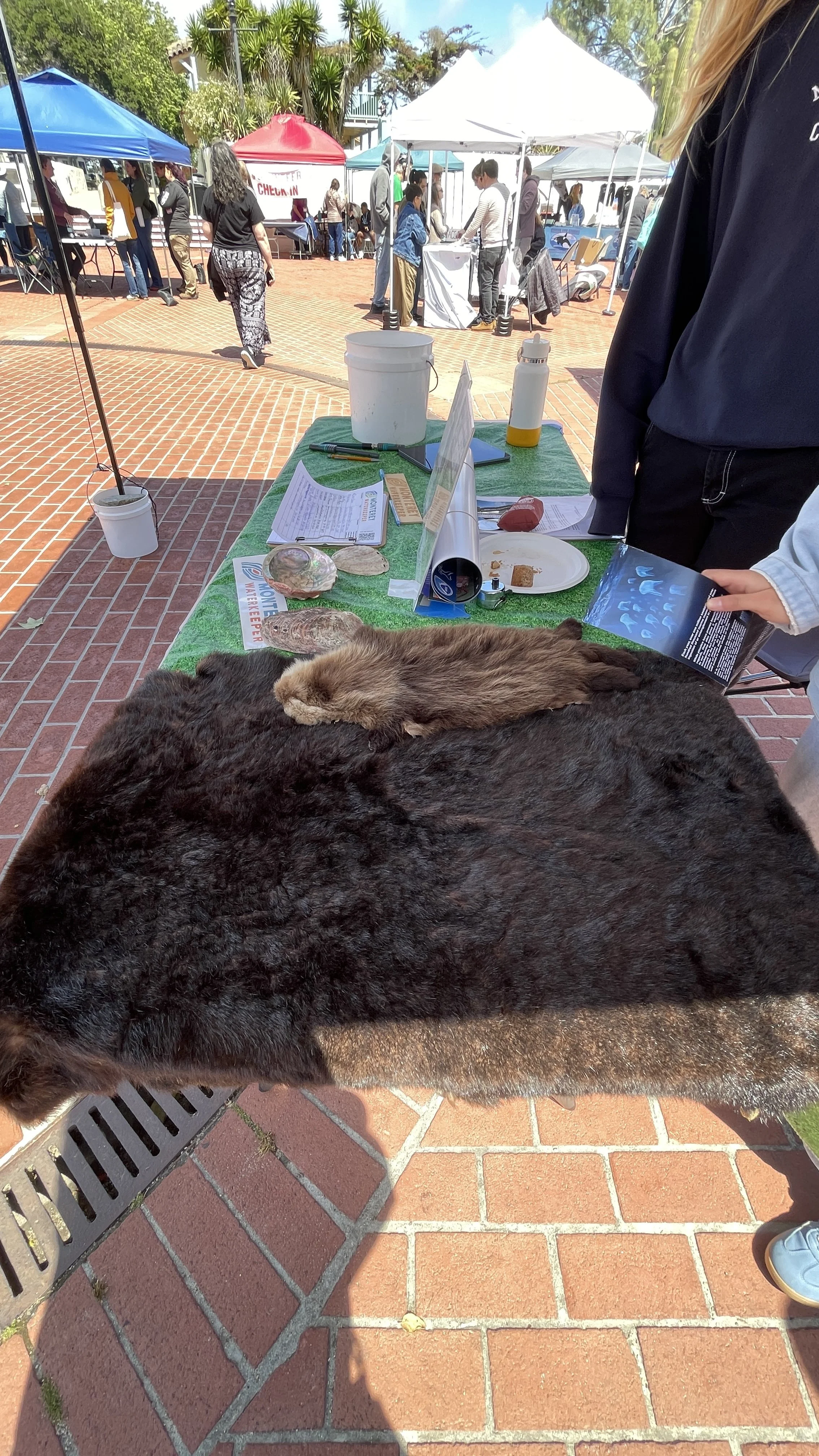 Monterey Waterkeeper (2).JPEG