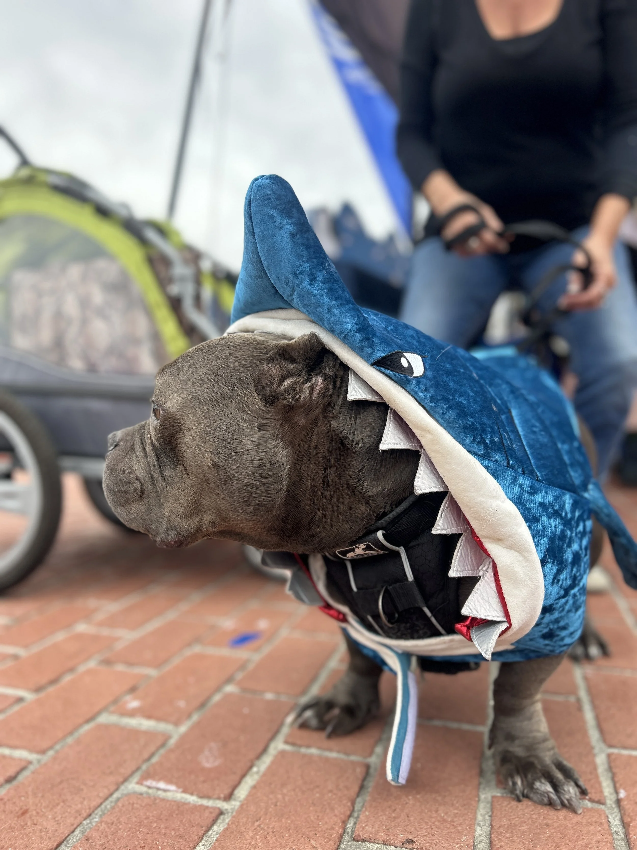 Photo Mar 18 2023, 2 15 59 PM.jpg