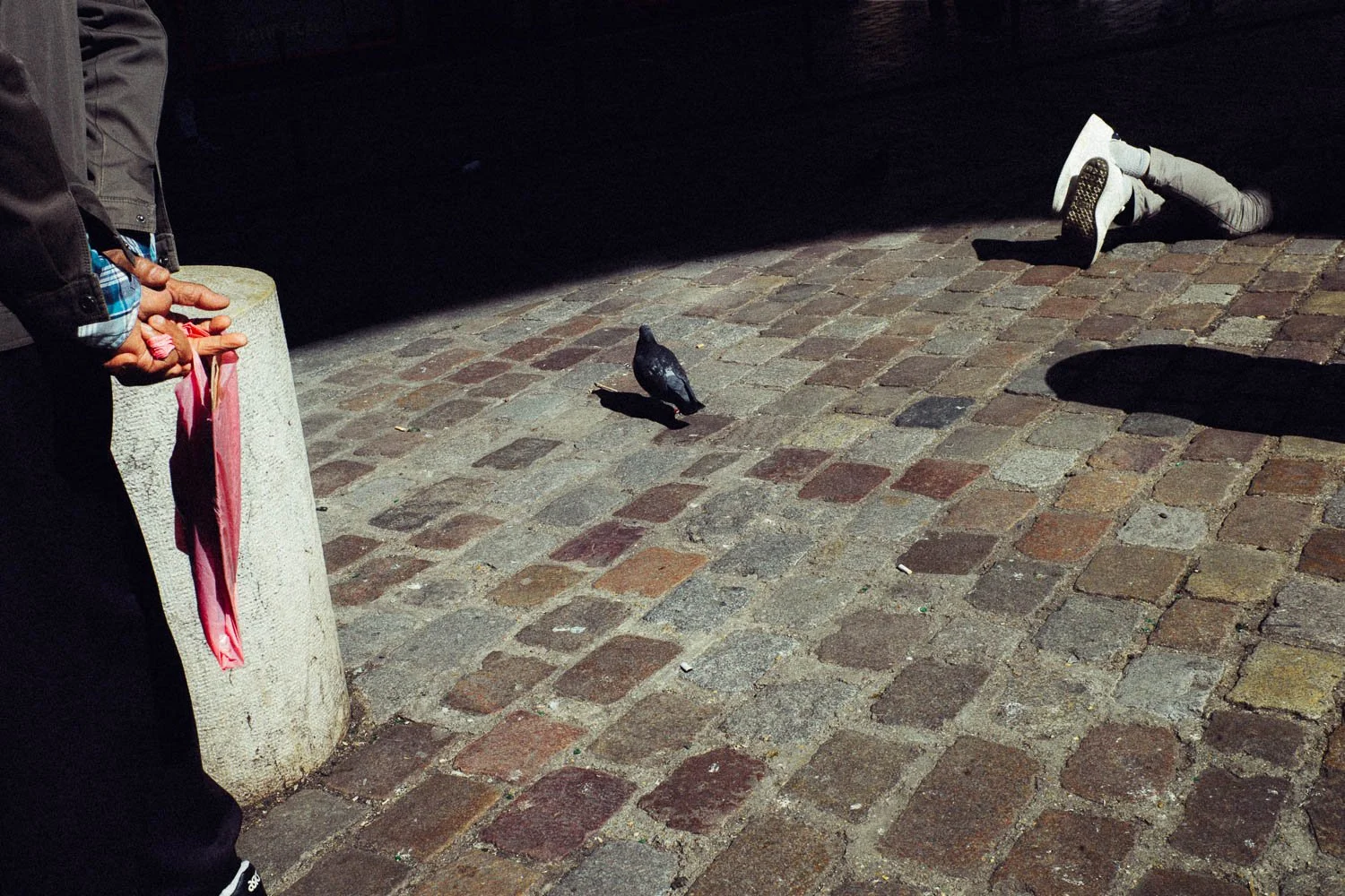 fabien-ecochard-squarespace-L1099061.jpg