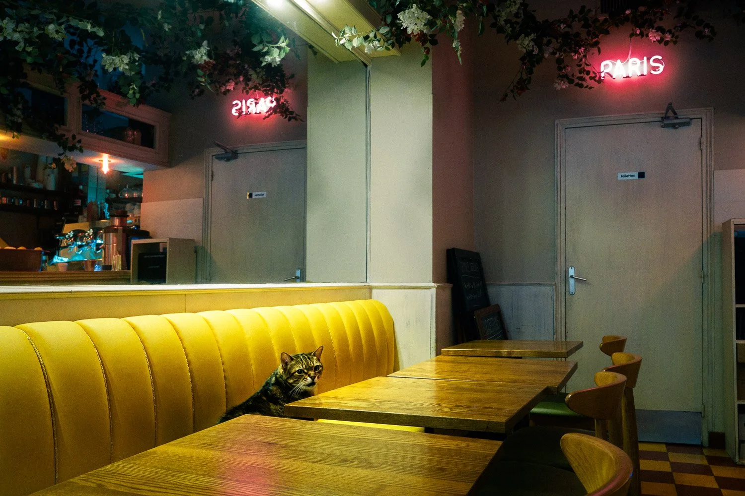 fabien-ecochard-squarespace-Q1019330.jpg