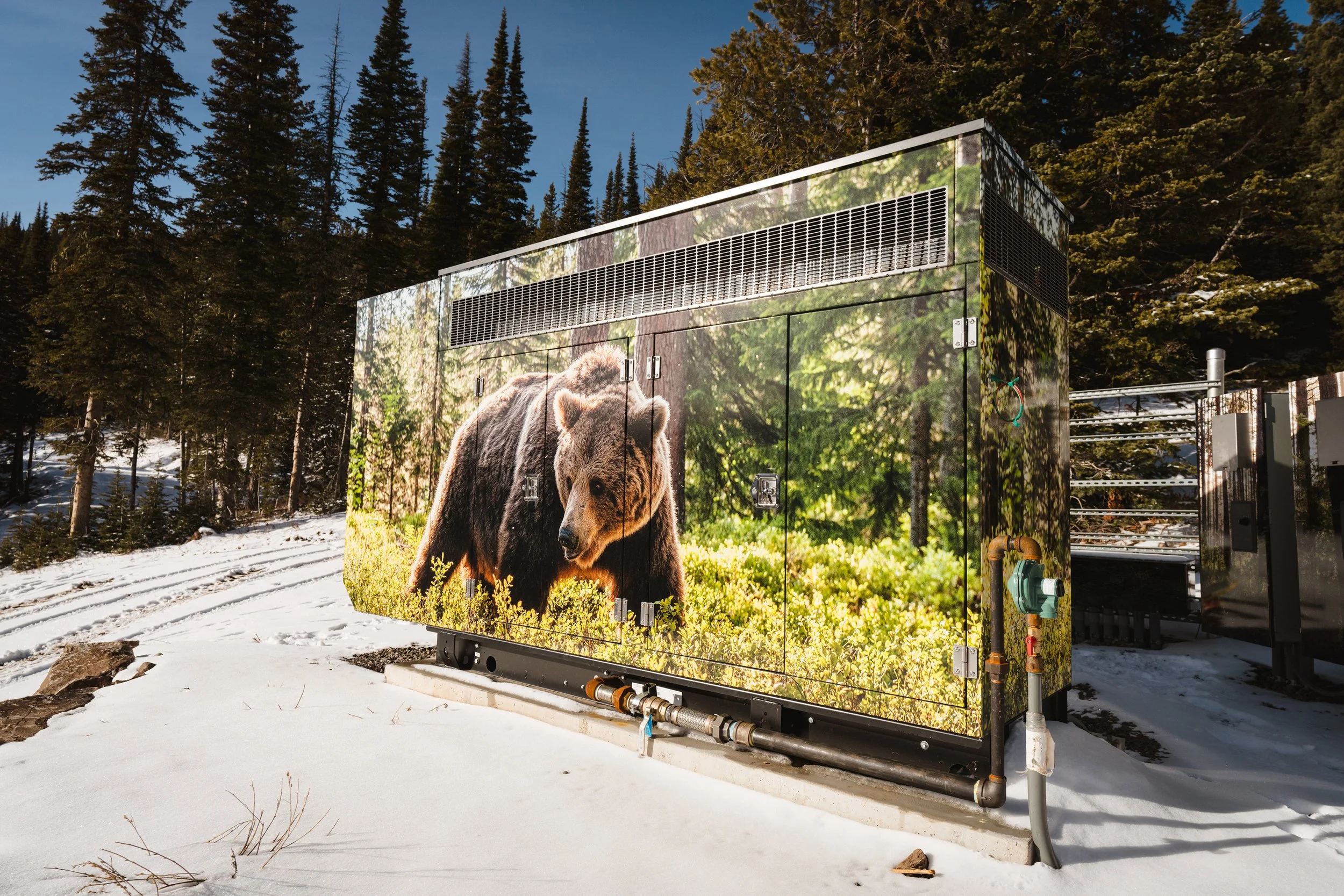 Vinyl wrap generator featuring a high-resolution image of a grizzly bear in a sunny forest.