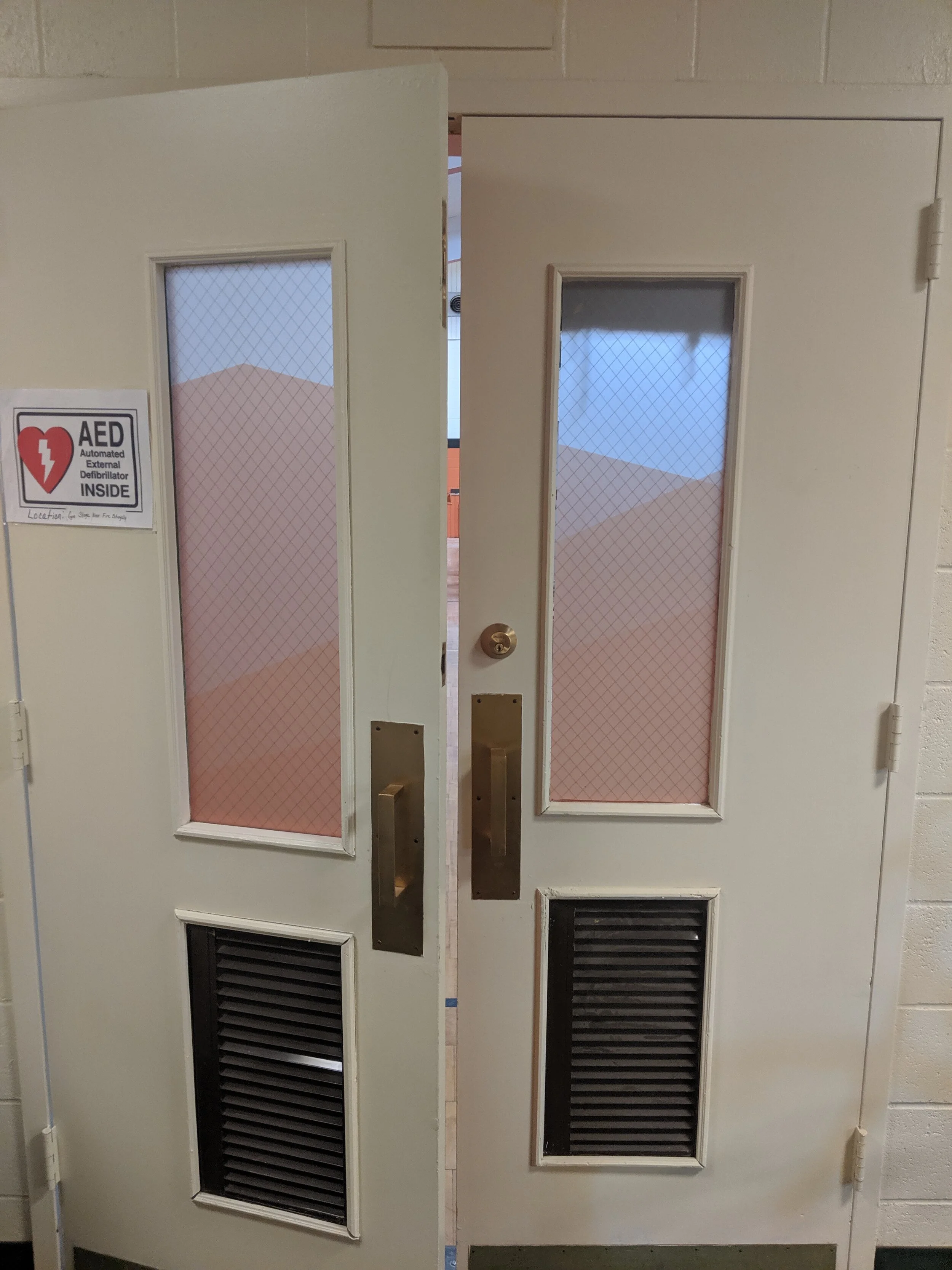Double doors with mesh windows, open slightly. Frosted privacy vinyl on window. In Butte, Montana.