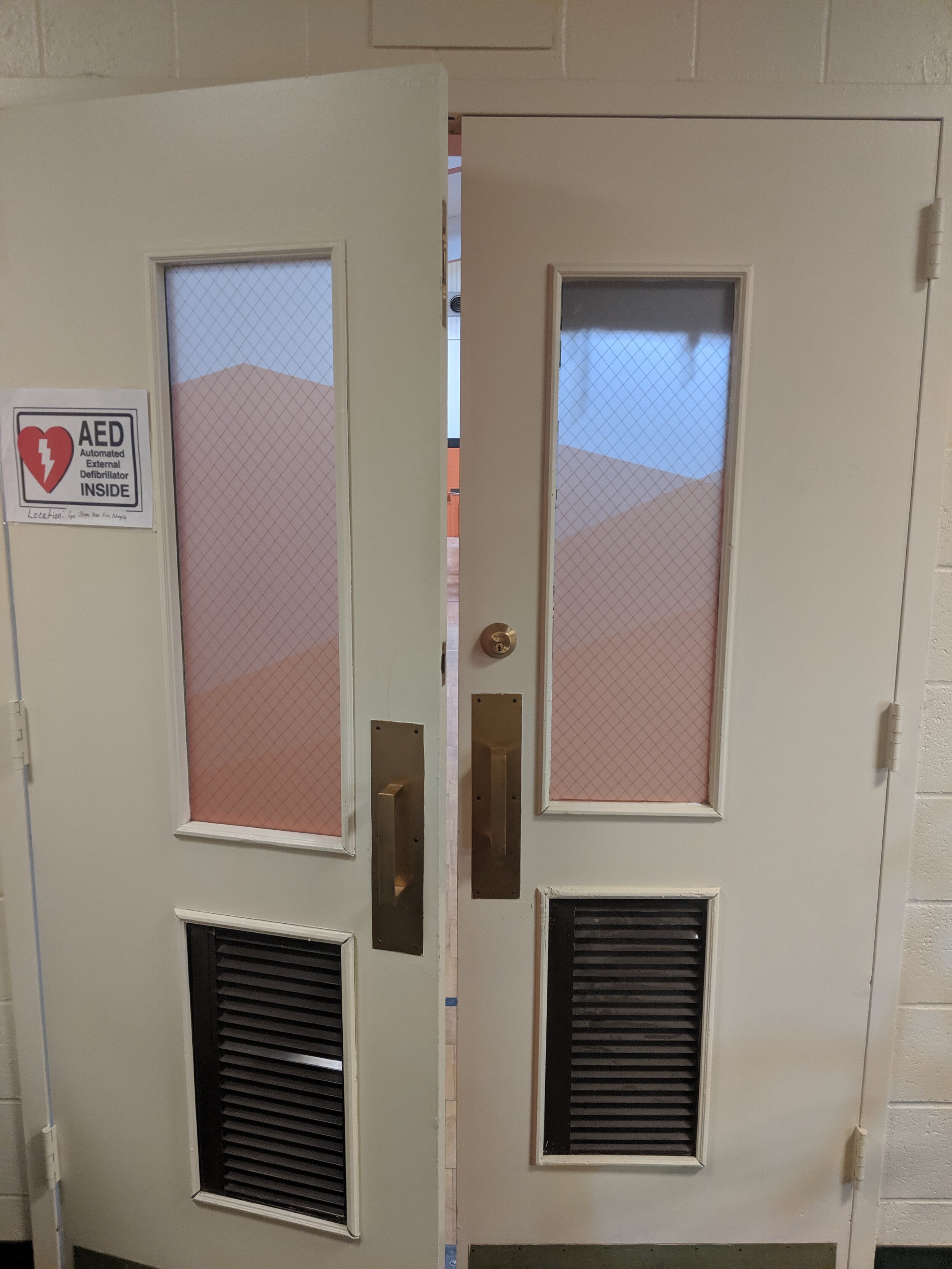 Double doors with mesh windows, open slightly. Frosted privacy vinyl on window. In Butte, Montana.