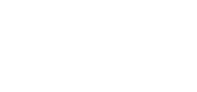 Buffalo Restoration®