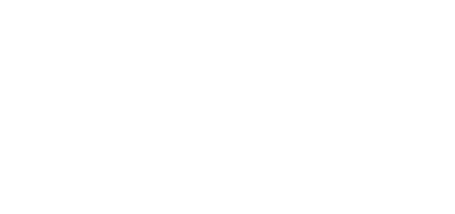 Ace Roofing