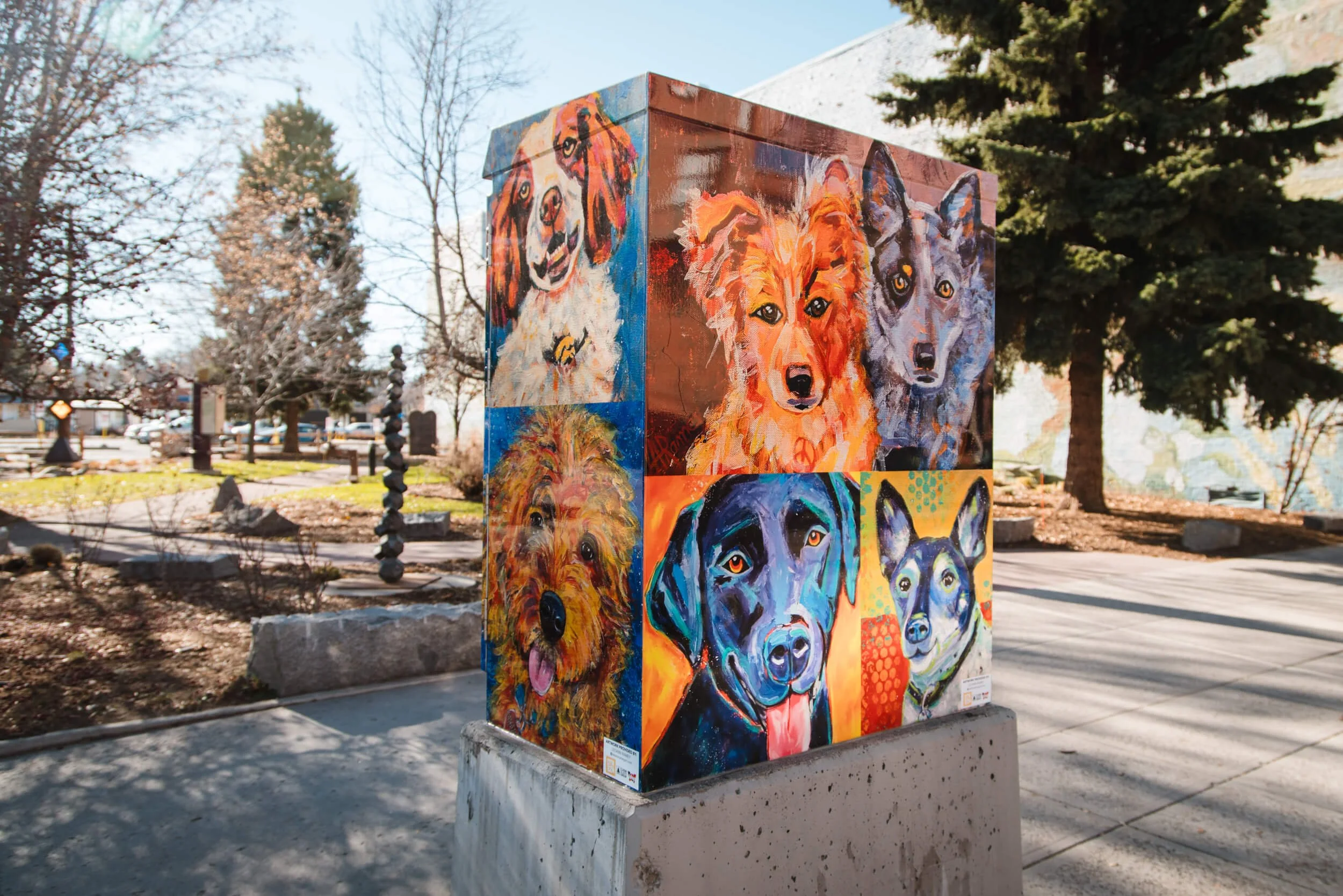 Downtown Bozeman Cabinets