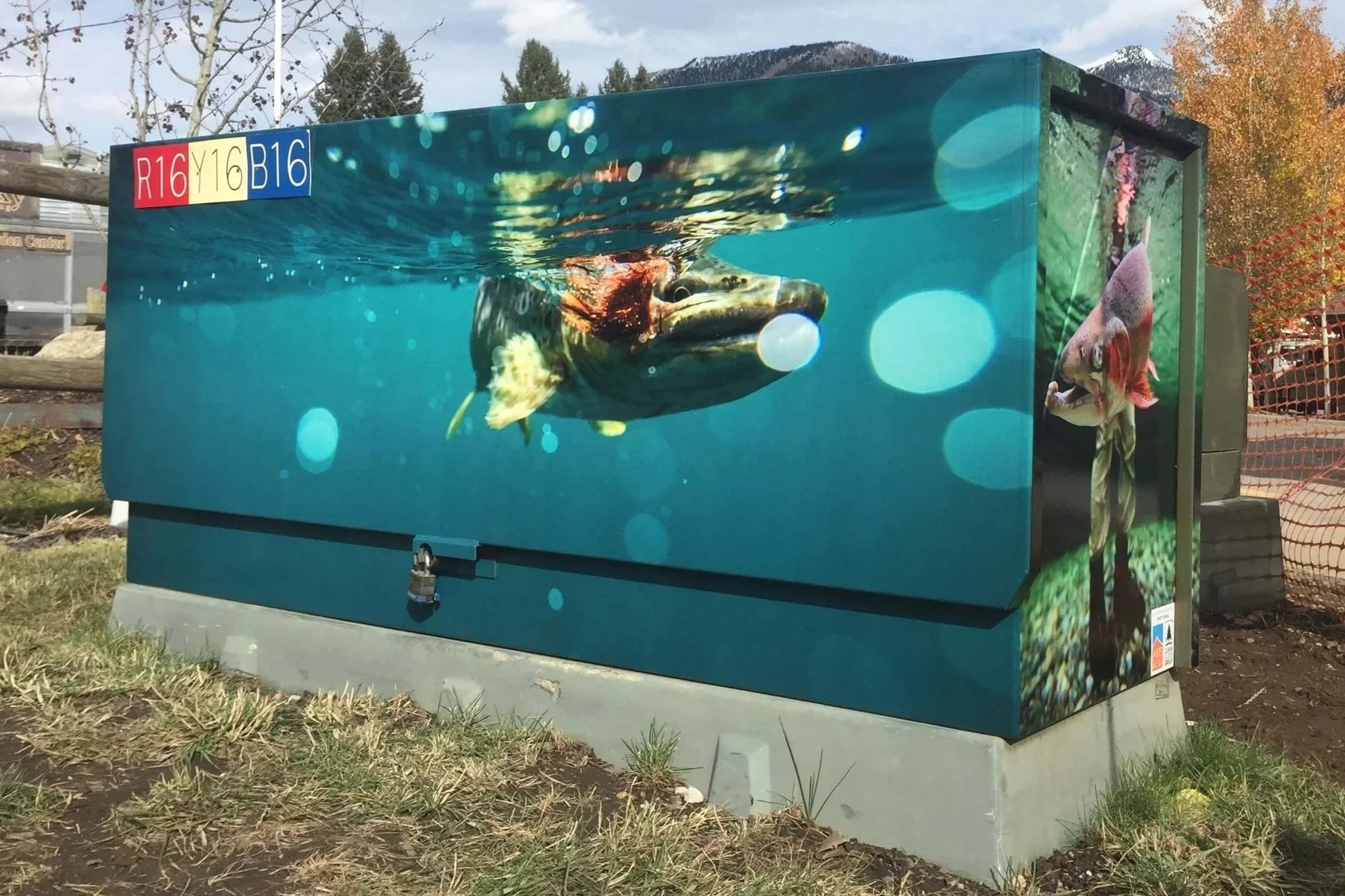 Aquatic-themed vinyl wrap utility box showing fish swimming in an underwater scene.