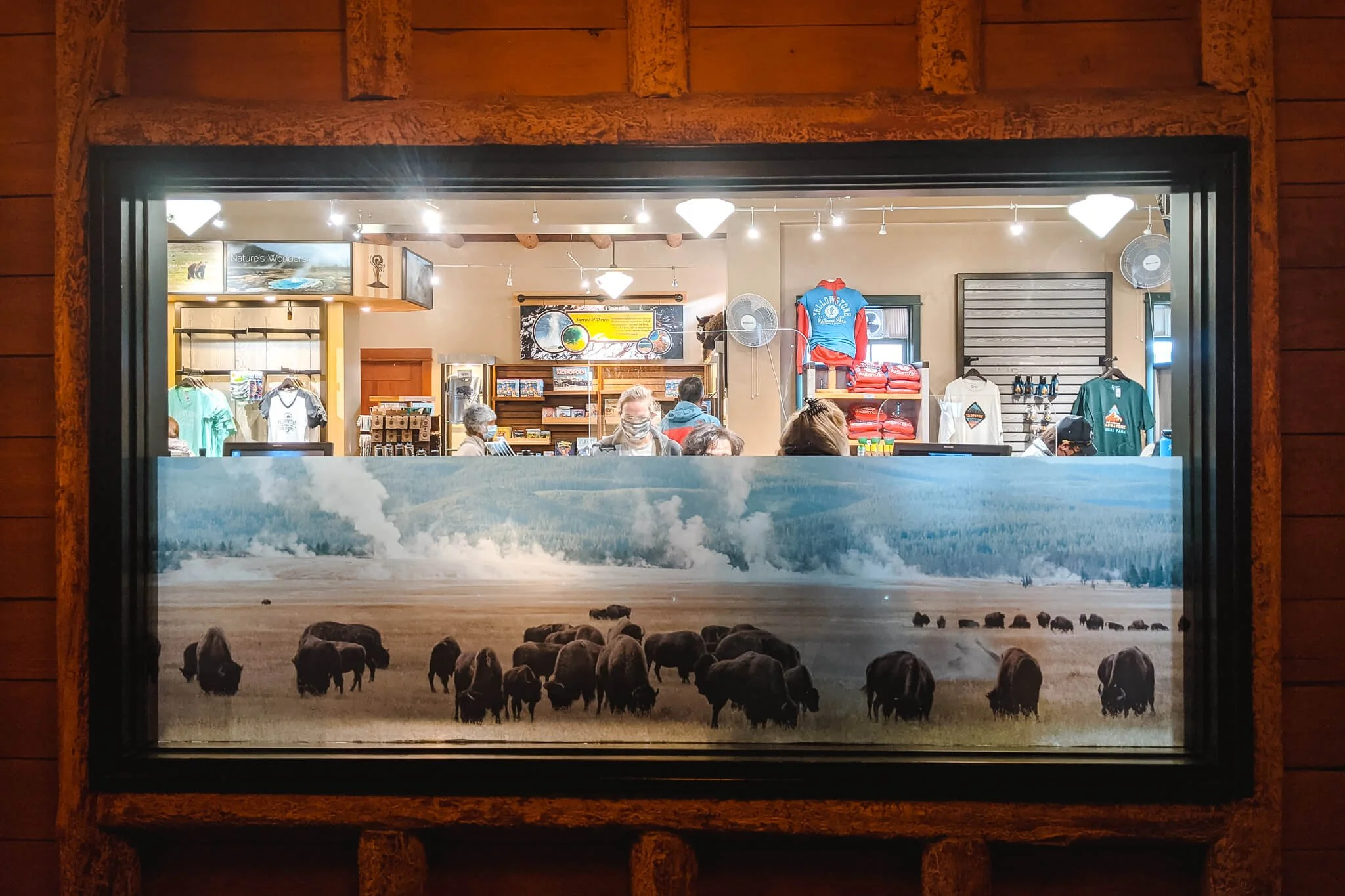 A retail storefront window featuring wildlife-themed window graphics showing a herd of bison in a Yellowstone landscape, applied as a partial window wrap that allows visibility into the shop interior.