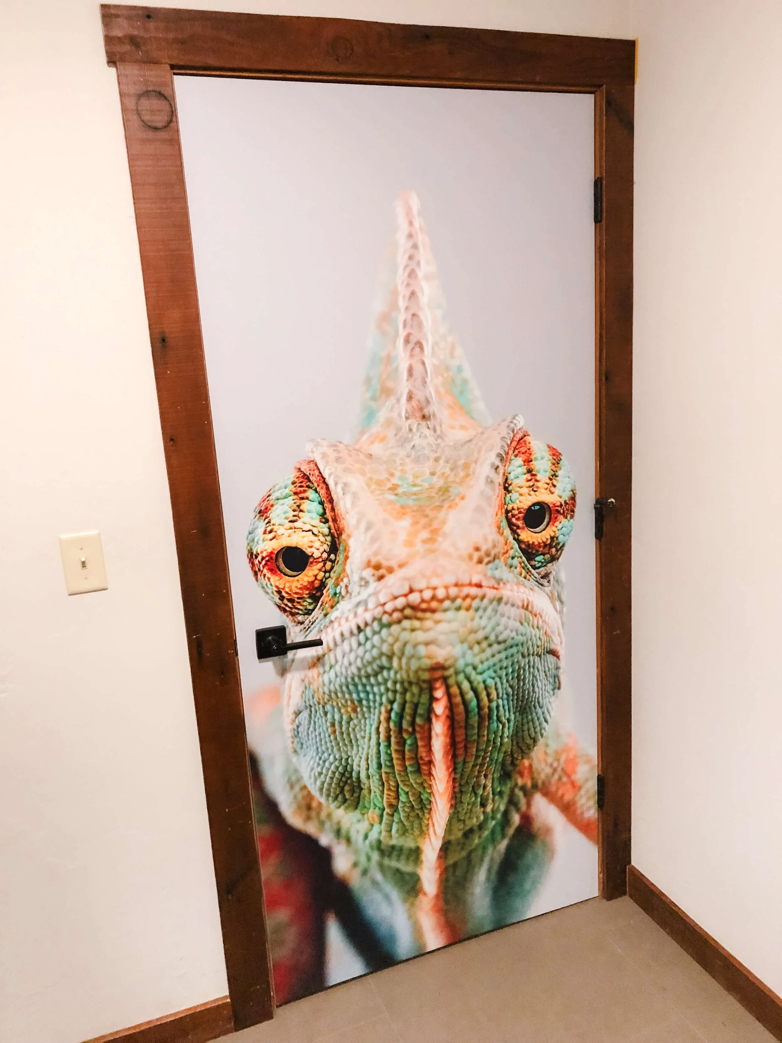 Custom vinyl door wrap with a high-resolution close-up of a chameleon, creating a bold, eye-catching entryway in vibrant colors.