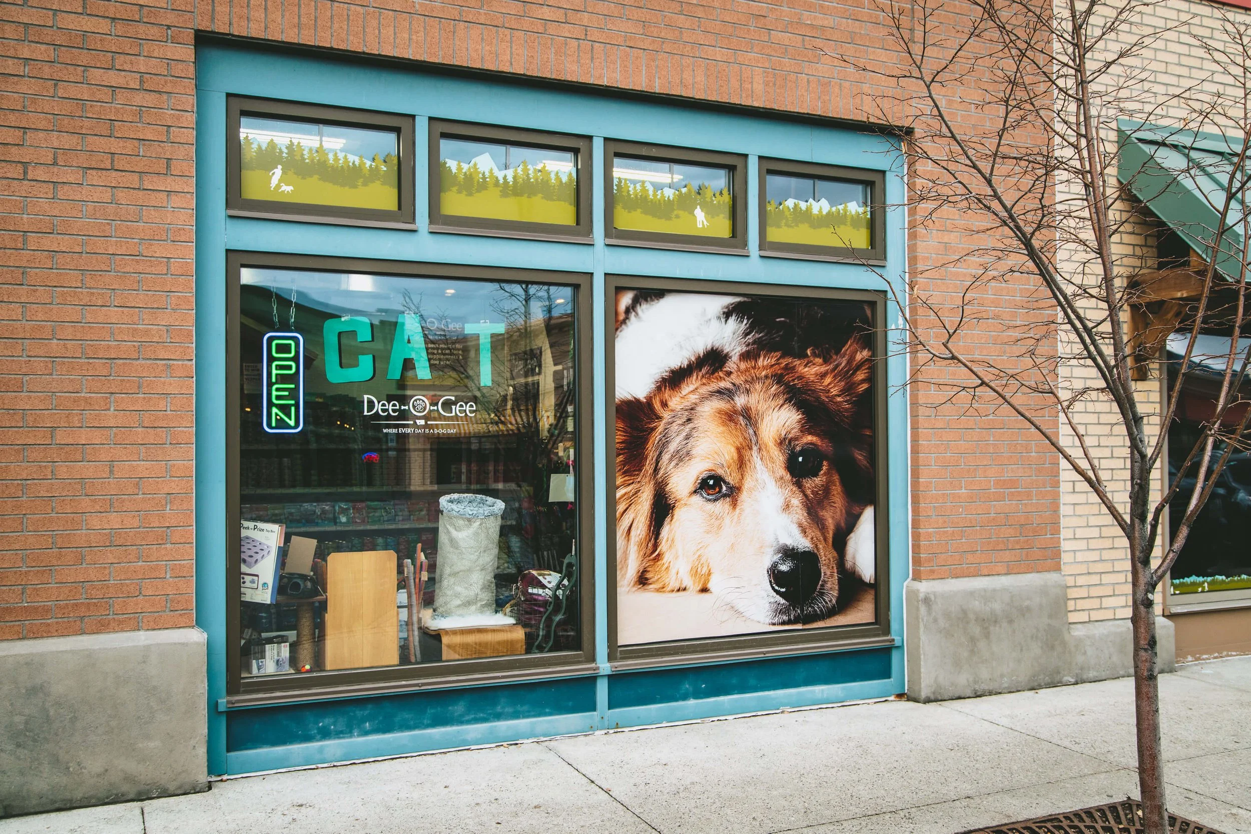 Vibrant window graphics of a dog’s face printed in full color to create visual interest and foot traffic for Dee-O-Gee in Bozeman, MT.