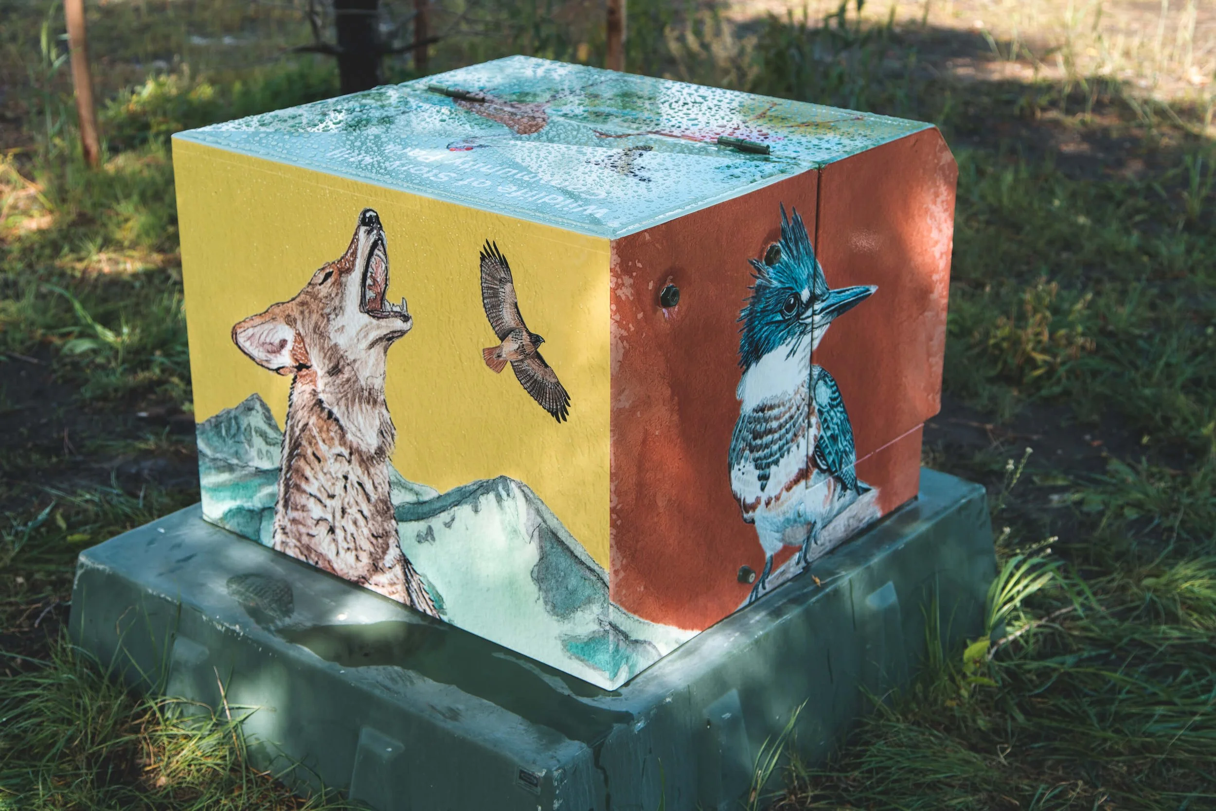 Colorful animal-themed vinyl wrap utility box displaying coyotes and birds in a stylized artistic design.