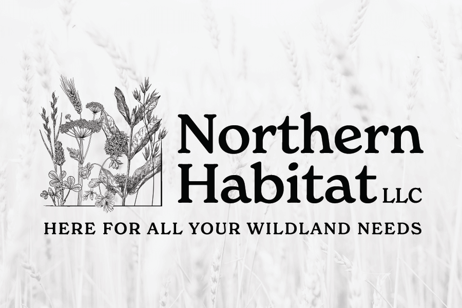 Northern Habitat LLC logo with botanical illustration and tagline Here for All Your Wildland Needs on a wheat field background.