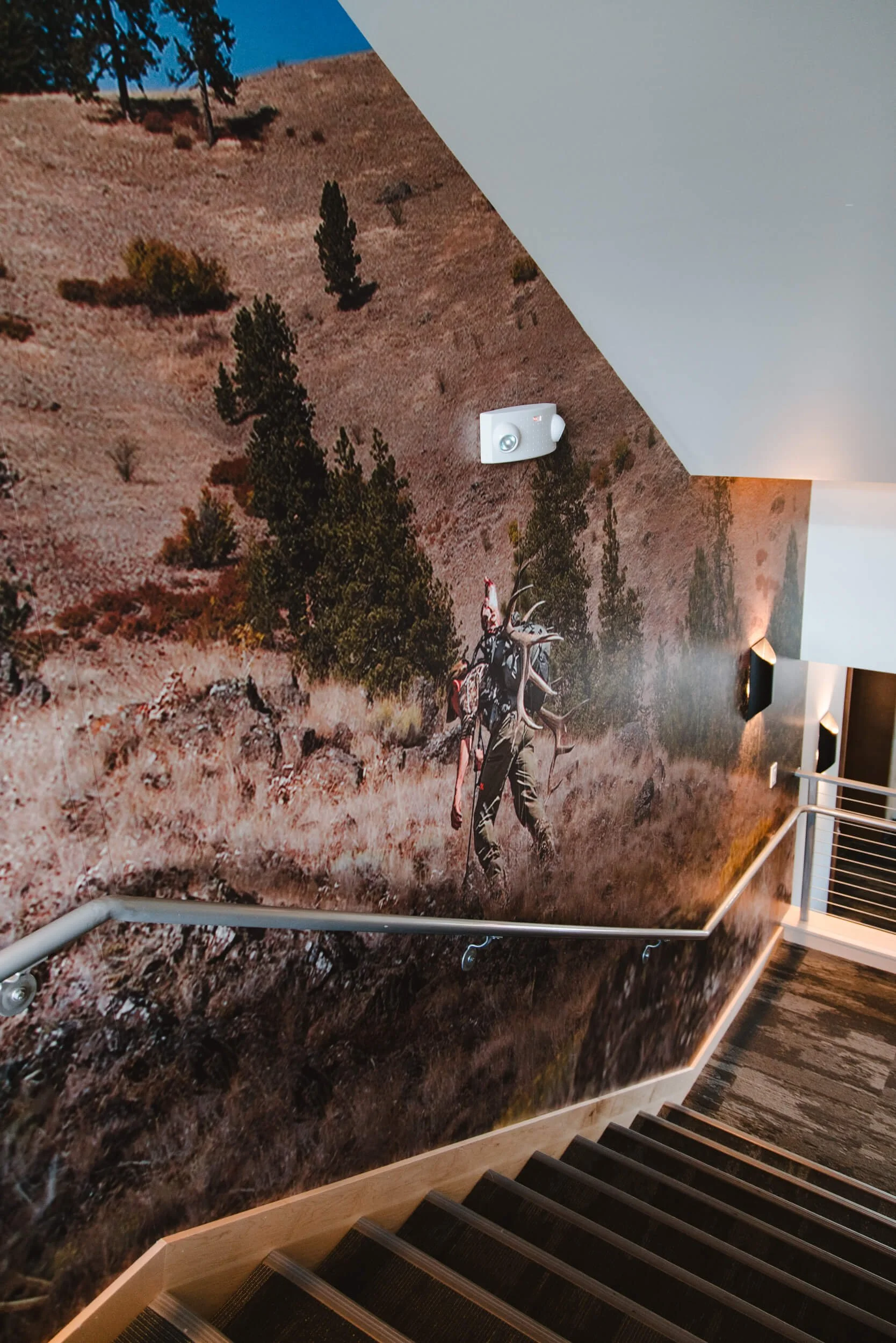 Staircase wall wrap with hunter carrying antlers by Wrap Agency for Meateater in Bozeman, MT.