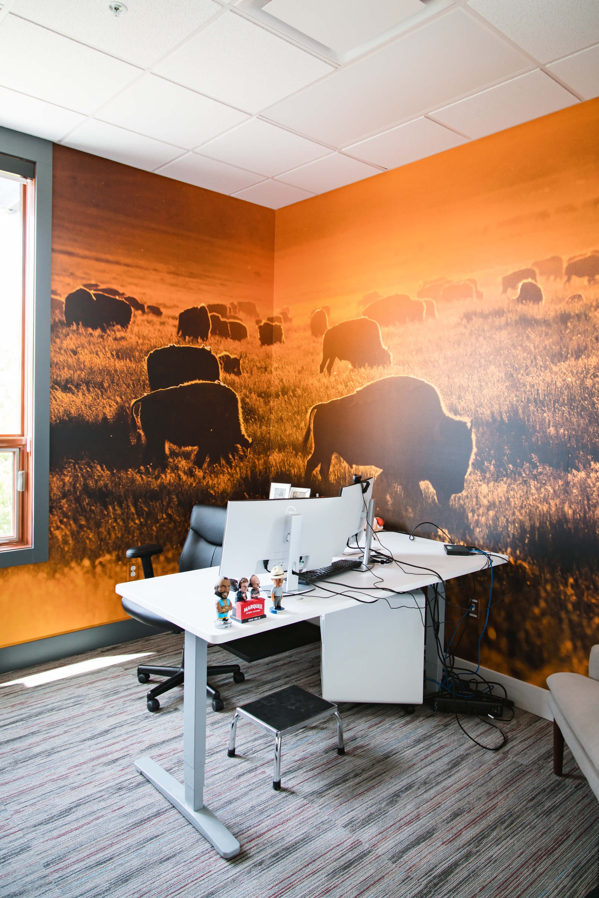 Striking wall wrap showing a herd of bison bathed in morning light across a golden prairie, bringing a strong sense of place and identity to a private office space. Installed at Yellowstone Forever in Bozeman, MT.