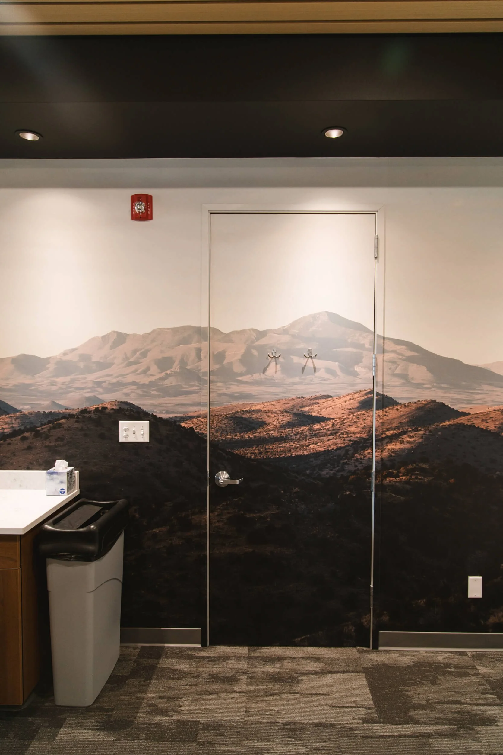 Panoramic mountain landscape wall wrap covering a full wall and door within a professional office space, blending natural beauty with interior design in Bozeman, MT.