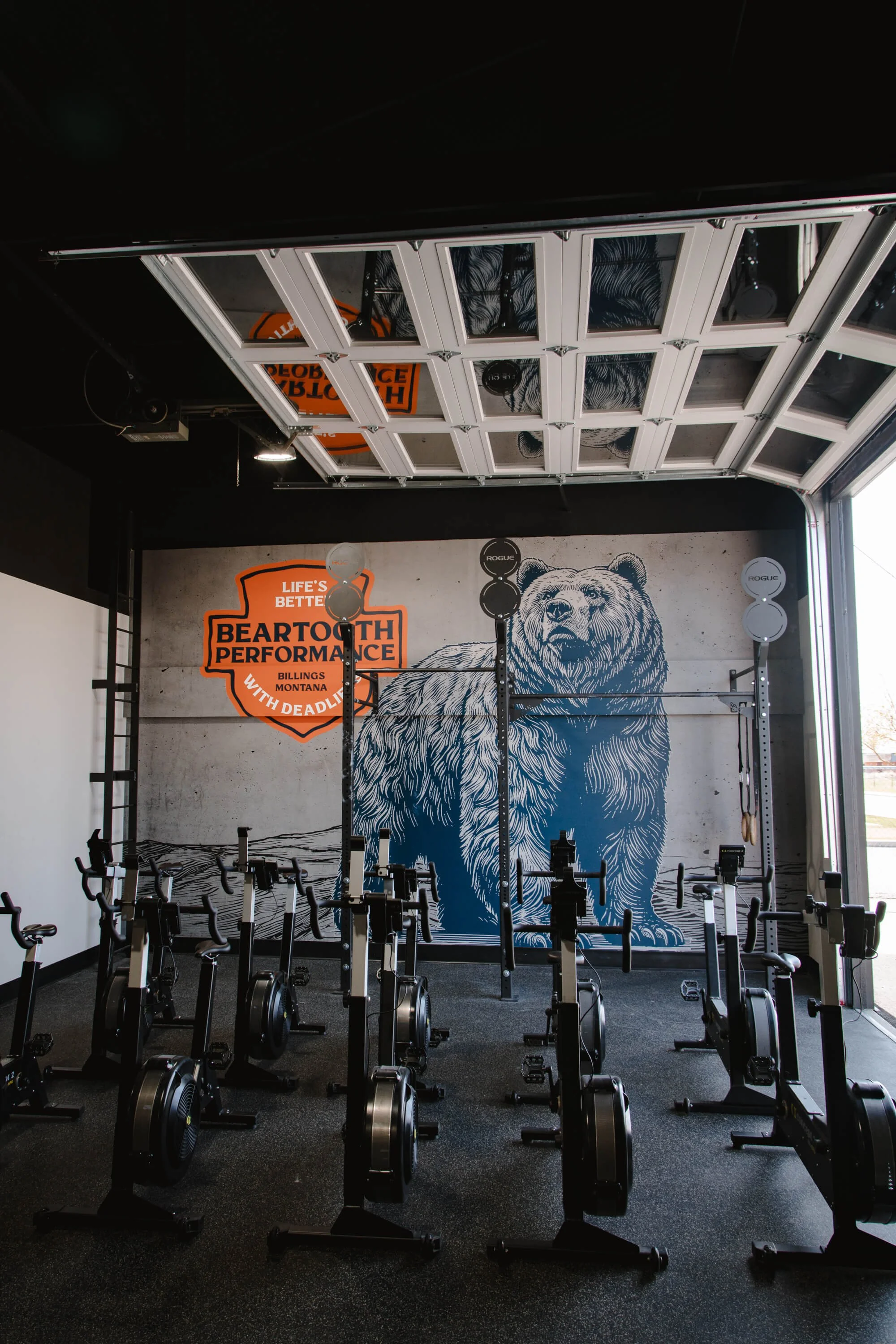 Striking fitness studio wall wrap featuring a hand-drawn-style bear illustration and bold orange Beartooth Performance branding on a concrete-texture background. Installed by The Wrap Agency in Billings, MT.