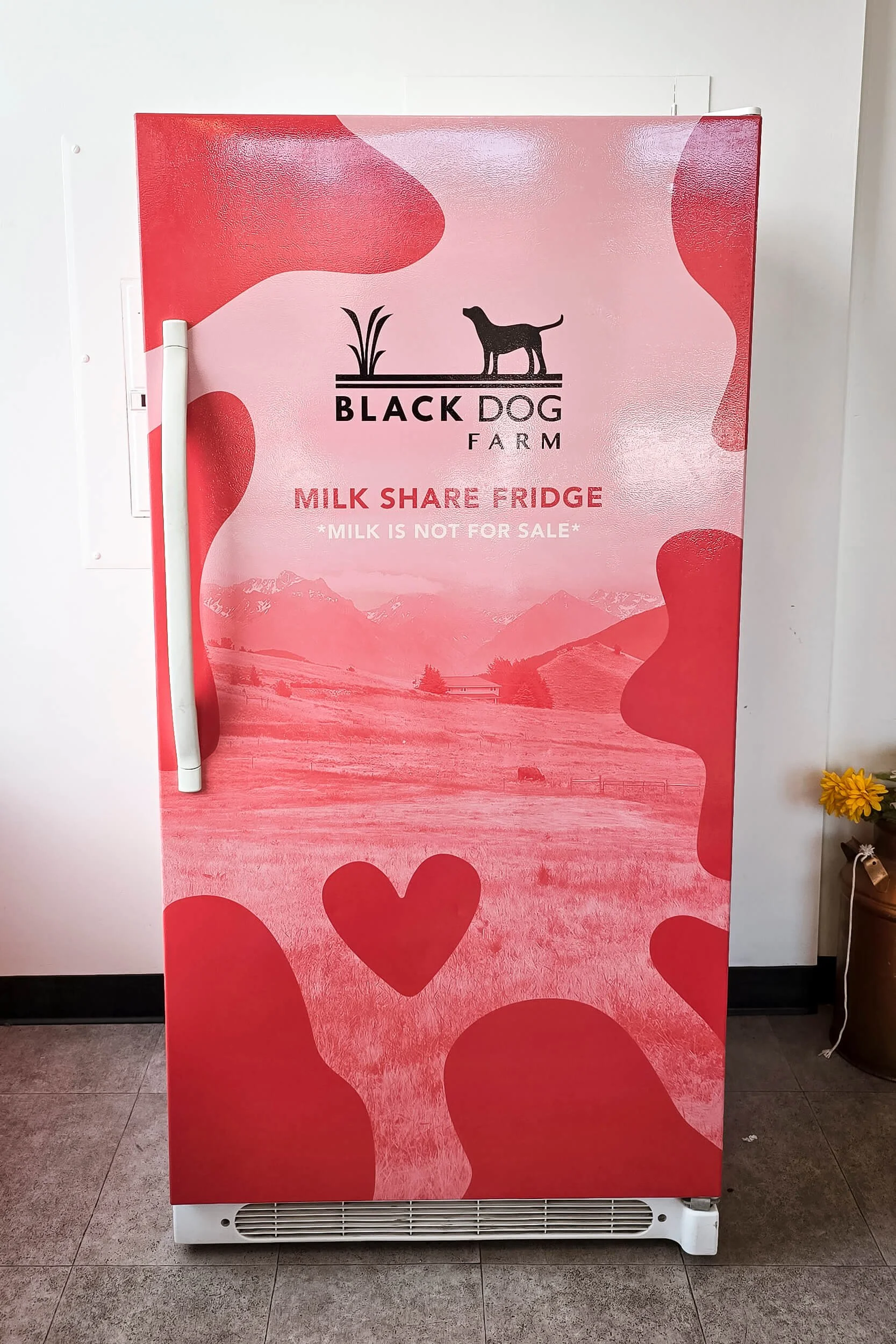Bright pink and cow spot fridge wrap for Black Dog Farm and Geunine Ice Cream