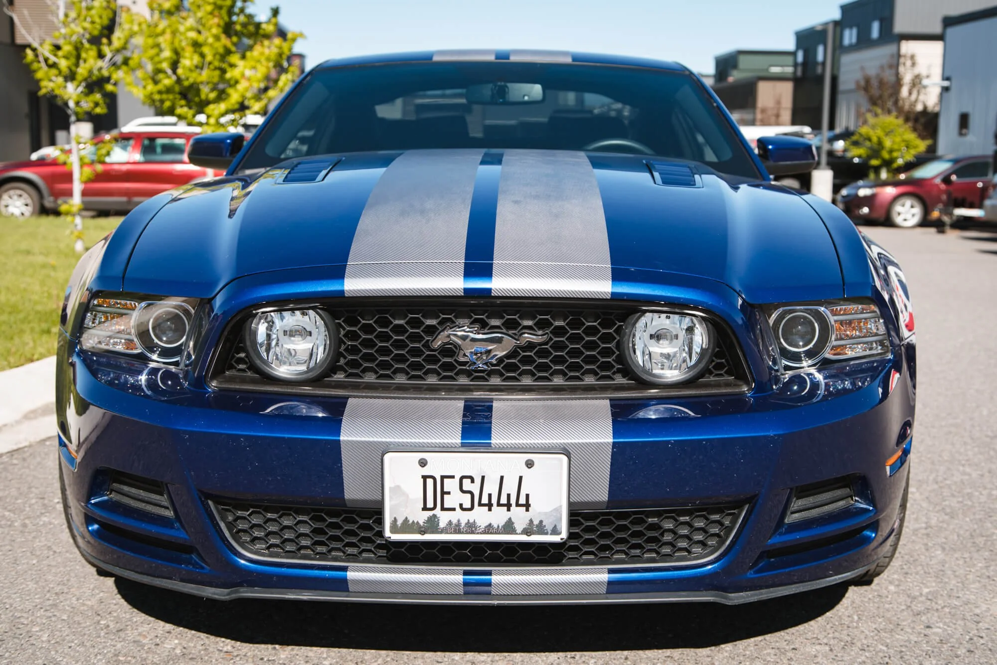 Front profile of a metallic blue Ford Mustang wrapped with sleek silver rally stripes, highlighting a sporty design and performance-driven identity. Location: Bozeman, Montana.