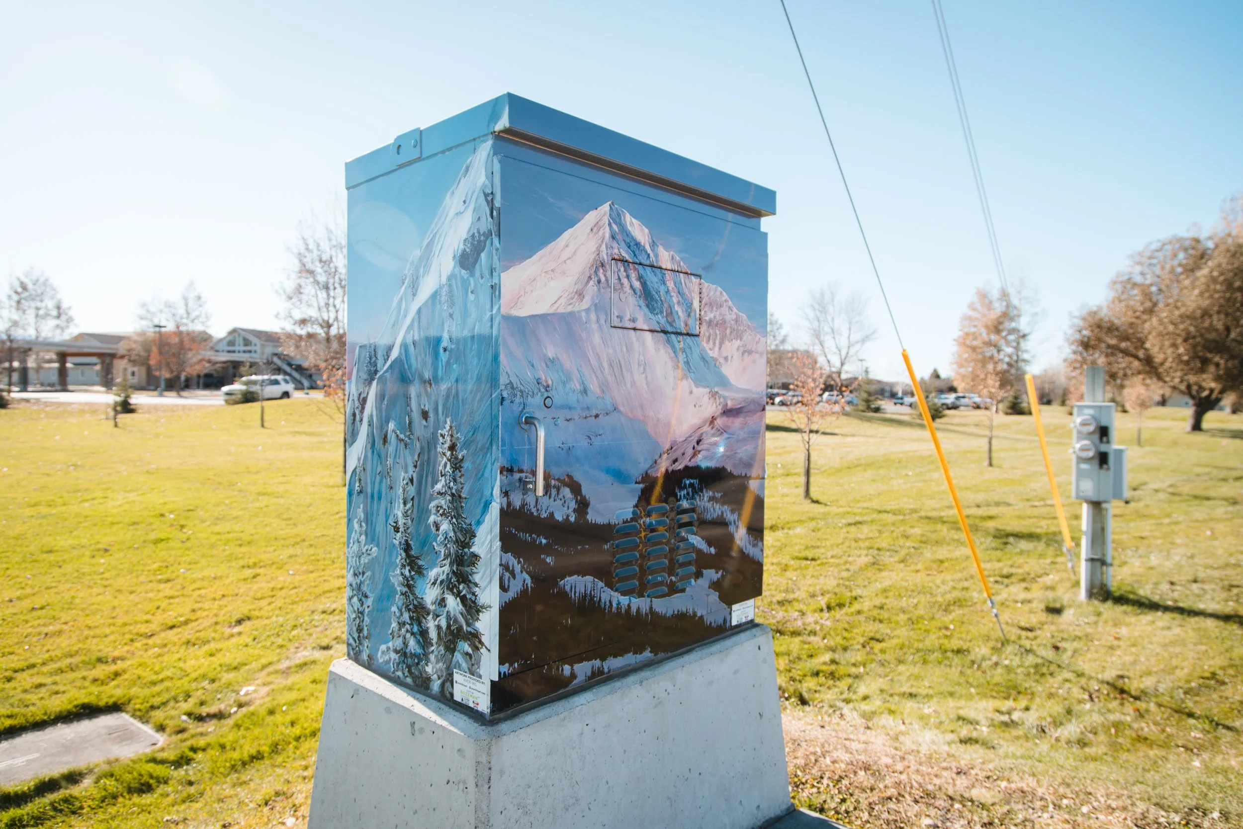 Vinyl wrap utility box with a photographic, snowy mountain landscape scene.