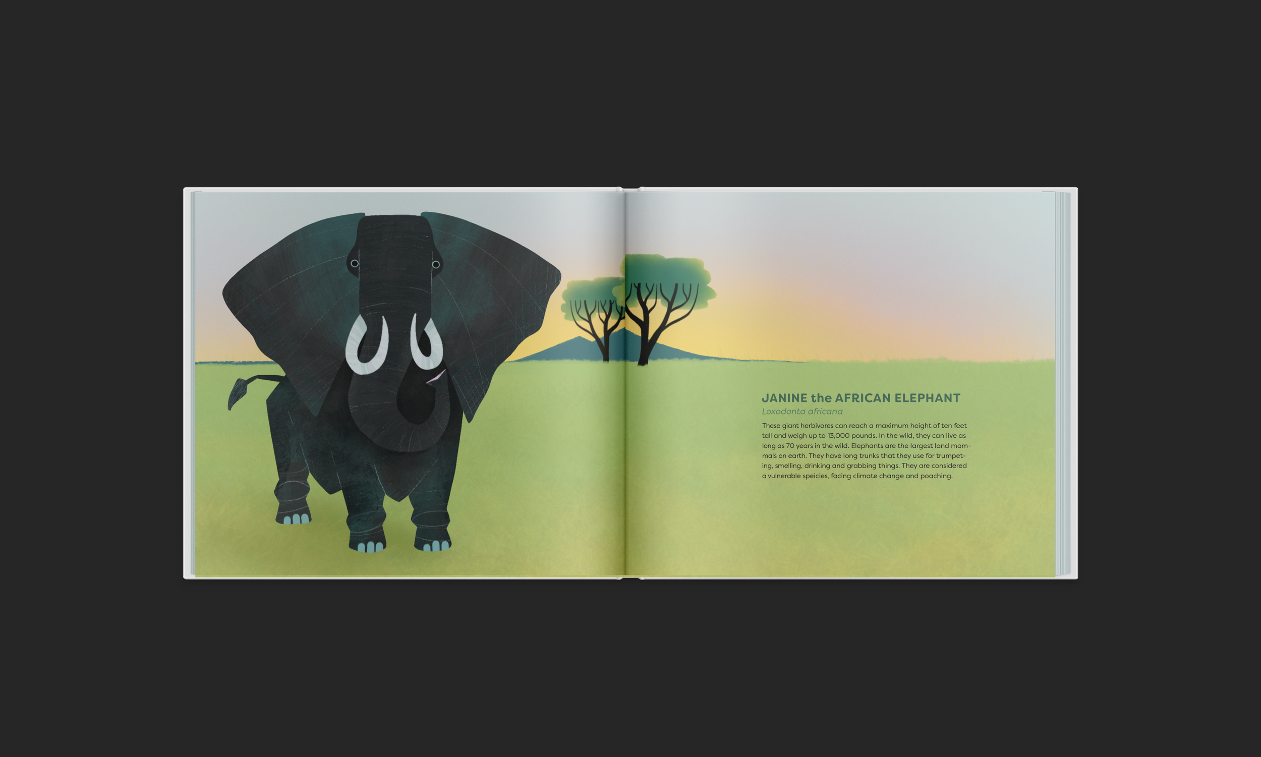 elephant_redo.png