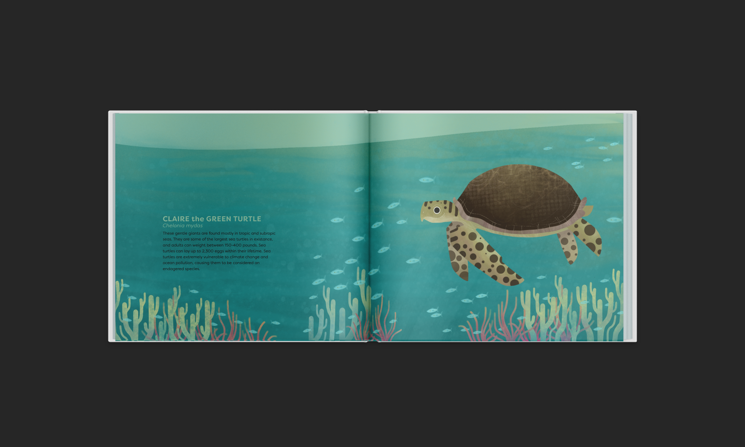 NewerSeaTurtle-.png