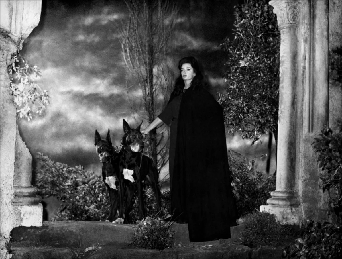 barbara steele