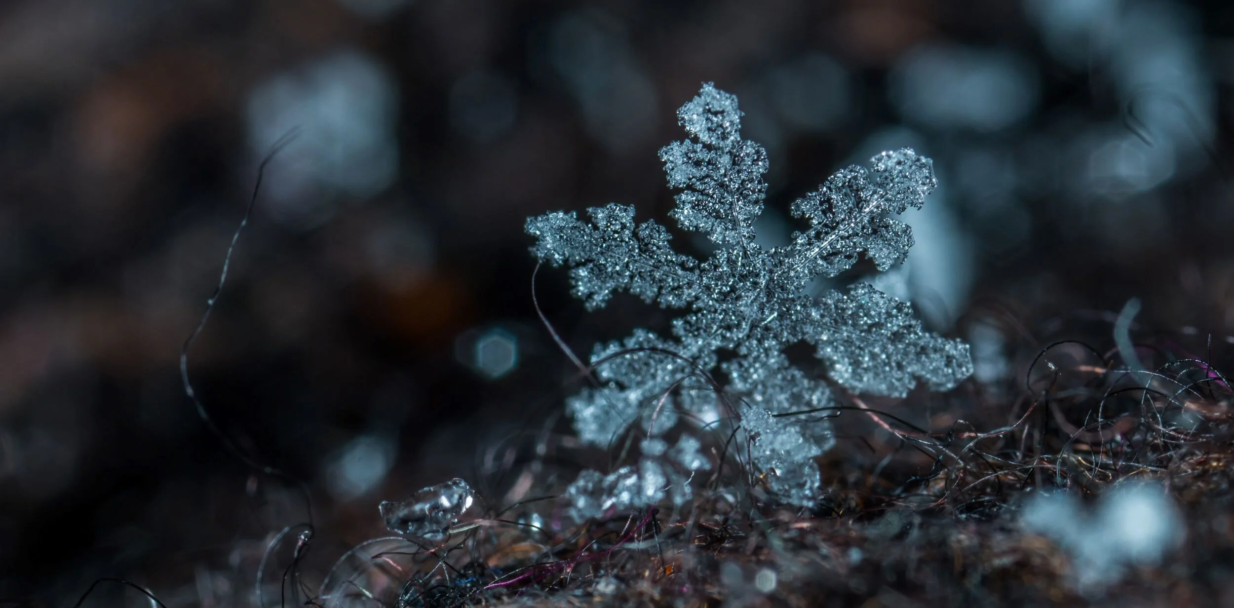 macro-photography-of-snowflake-813870.jpg