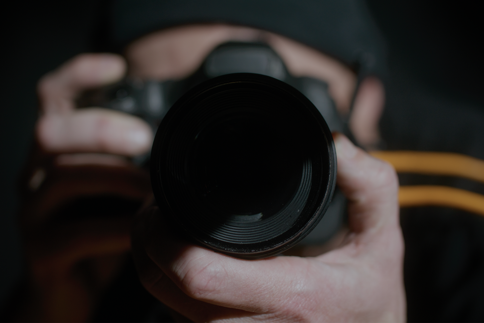 Rogue's Gallery (2023, Mini Series)