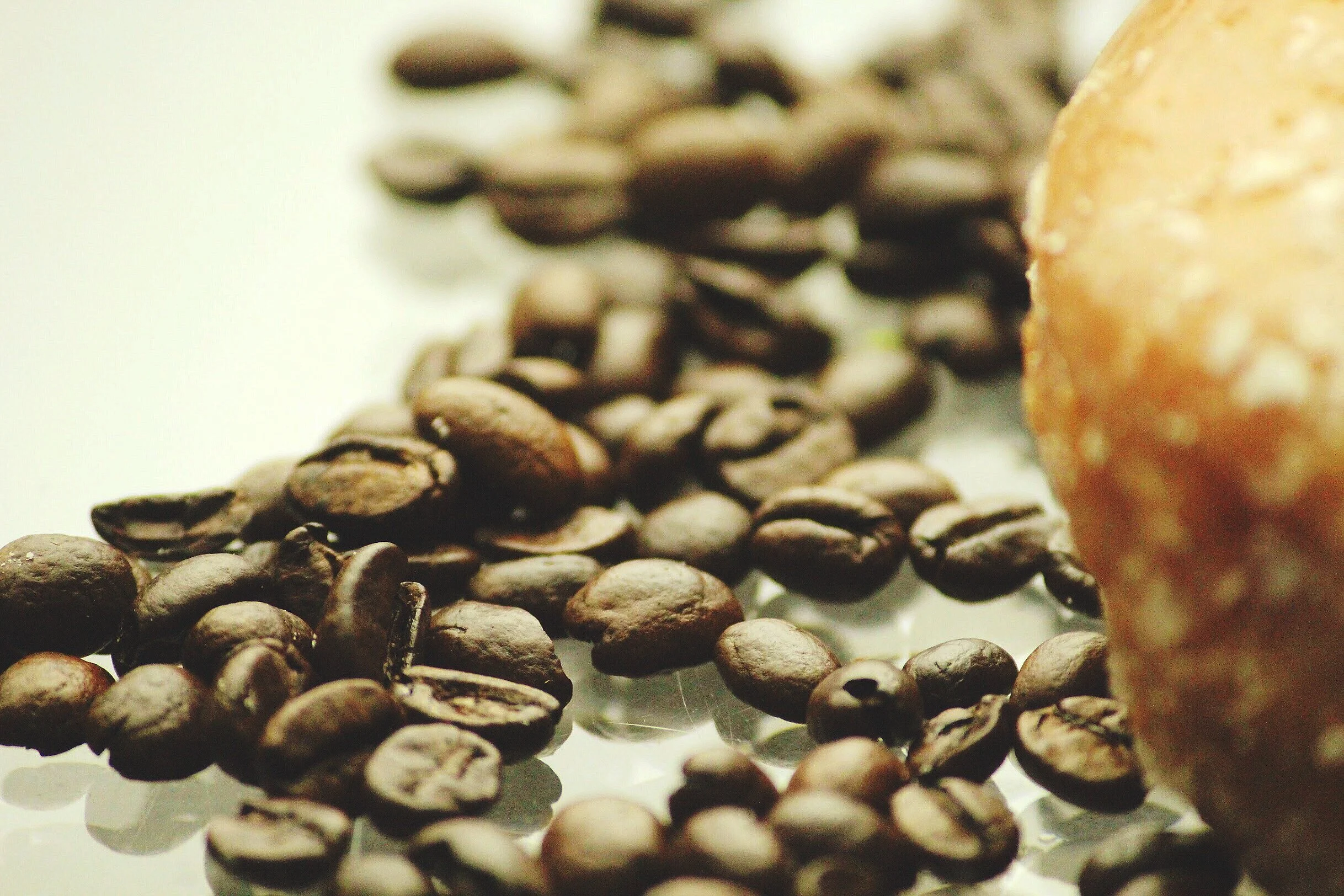 AfterlightImage(3).jfif