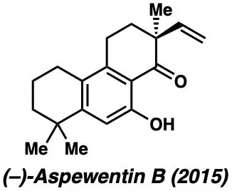 aspewentinb.jpeg
