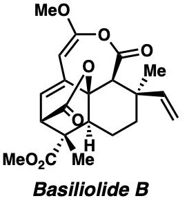 basiliolide.jpeg