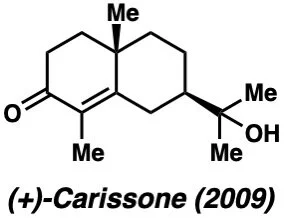 carissone.jpeg