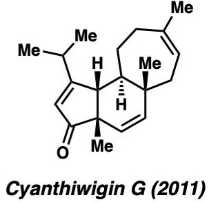 cyanthiwiginbfg.jpeg