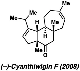 cyanthiwigin.jpeg