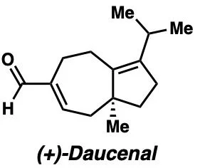 daucenal.jpeg