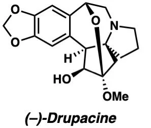 drupacine.jpeg