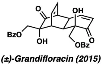 grandifloracin.jpeg
