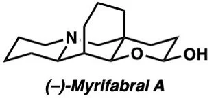 myrifabral.jpeg