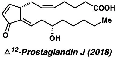 prostaglandin.jpeg